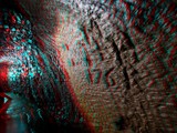 IMG_5573